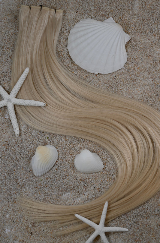 #60: Shell Yeah