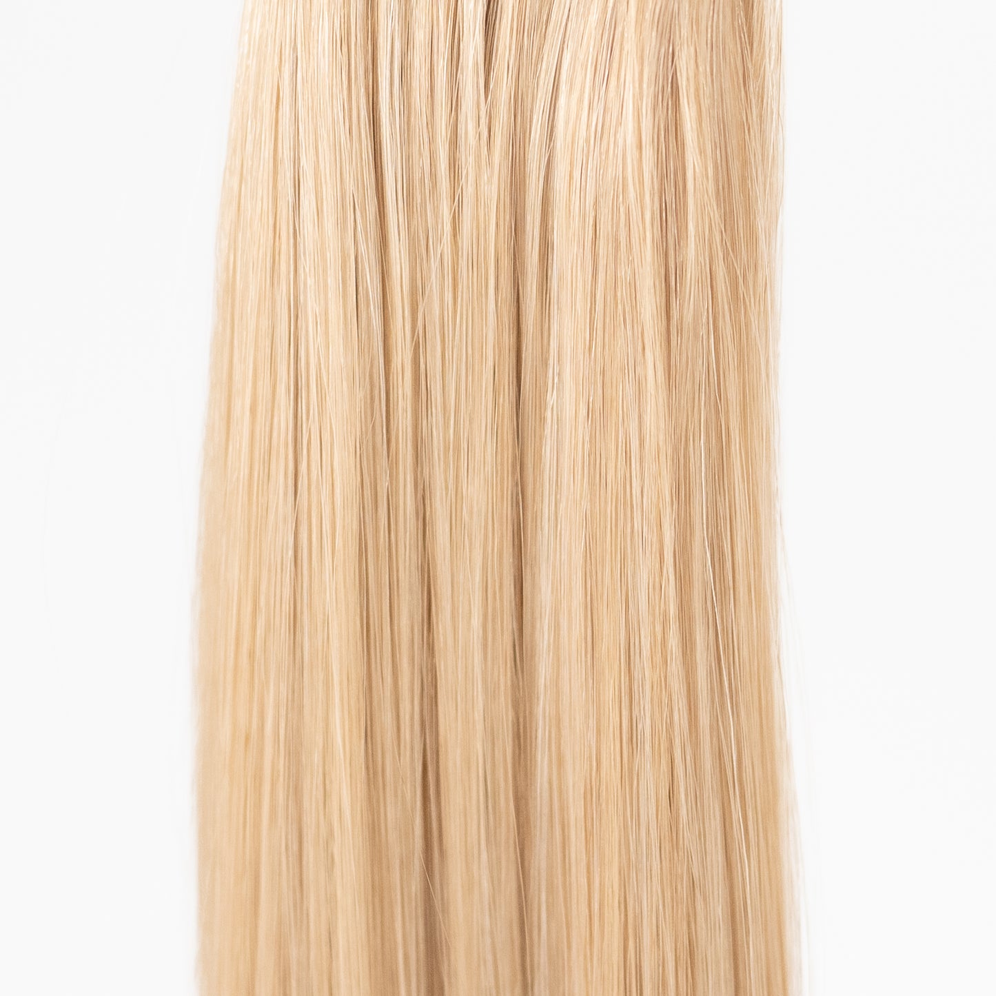 #M18/613: Trophy Wife