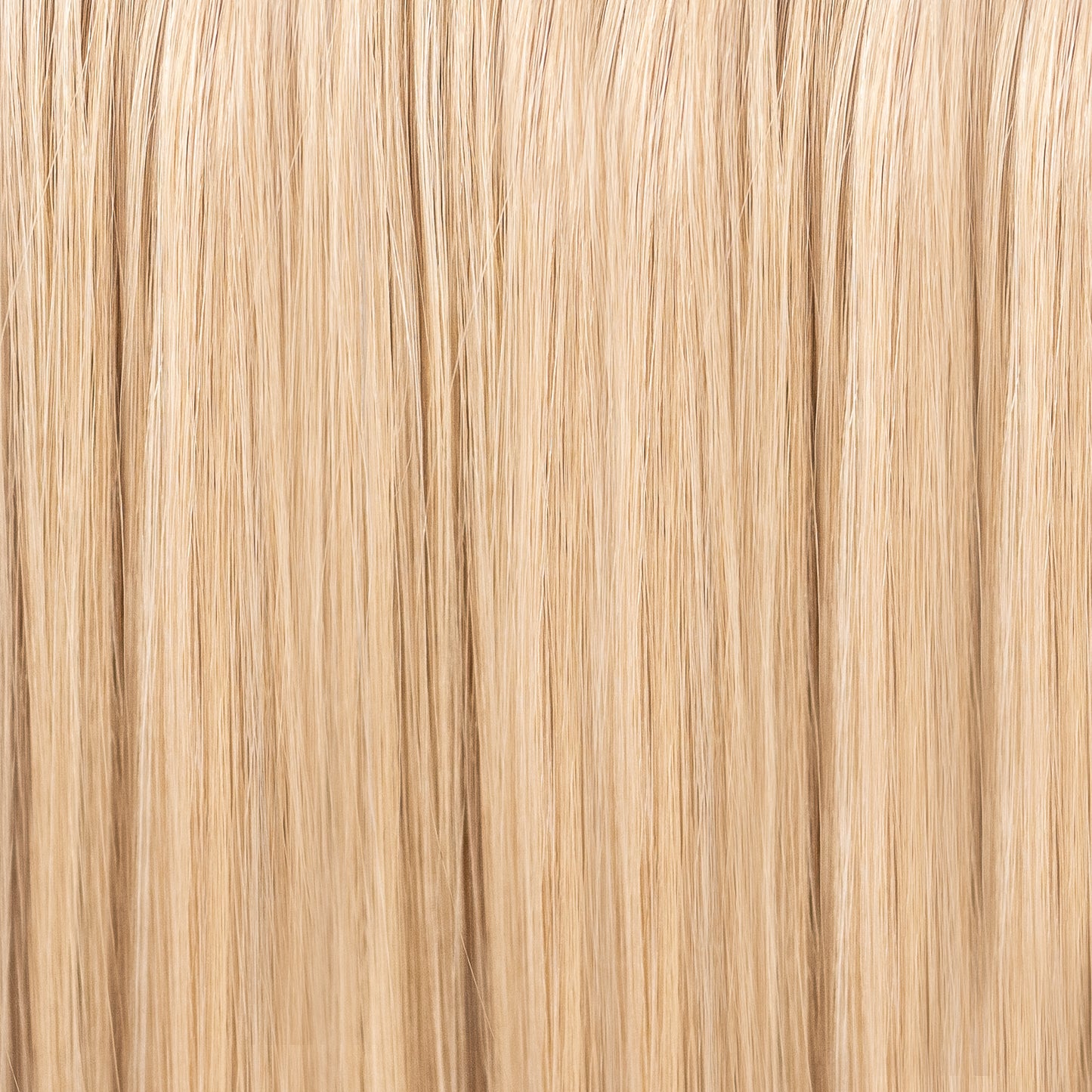 #M18/613: Trophy Wife