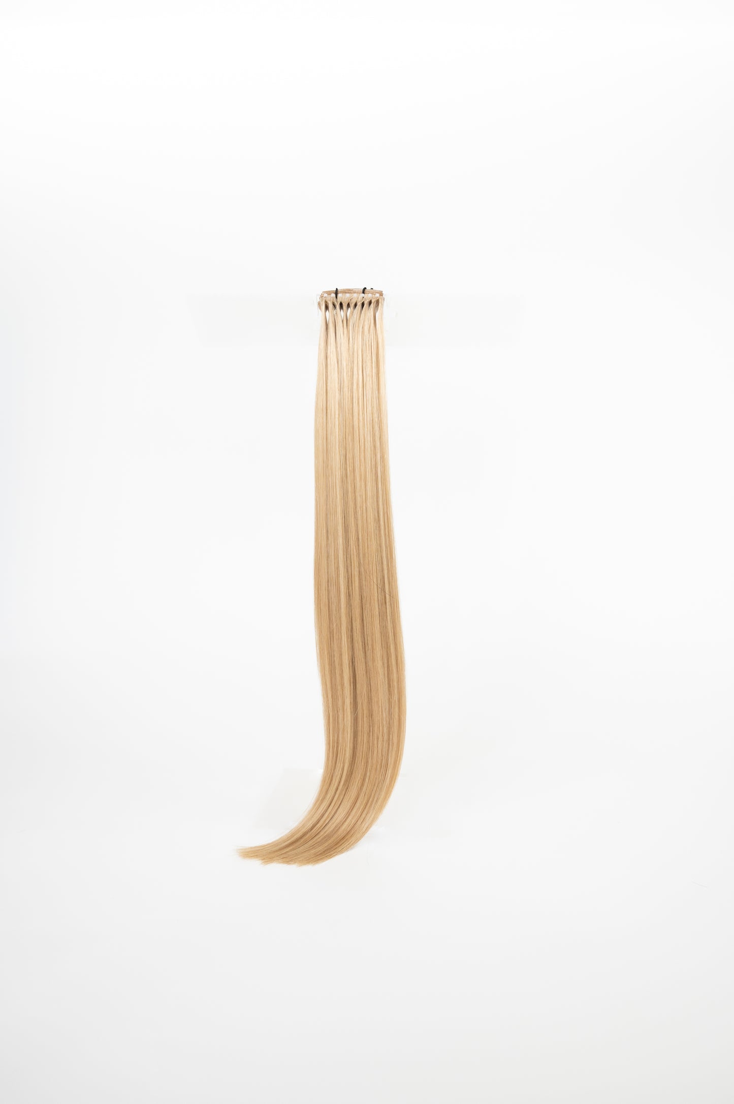 #M18/613: Trophy Wife